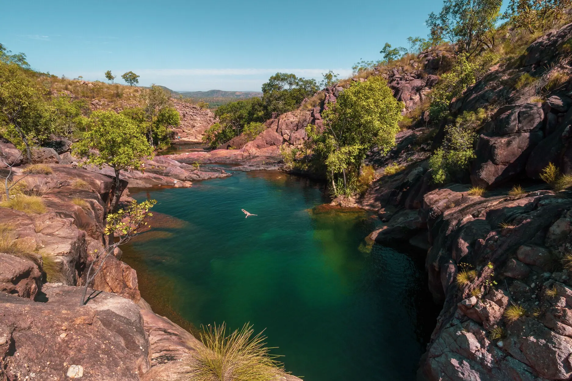 darwin day tours