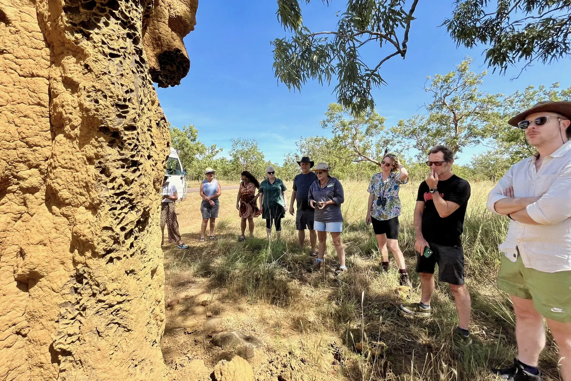 darwin trips